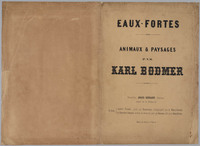 KG 14173
<br/>
Een broedende duif
<br/>
<em>Bodmer, Karl (1809 - 1893)</em>